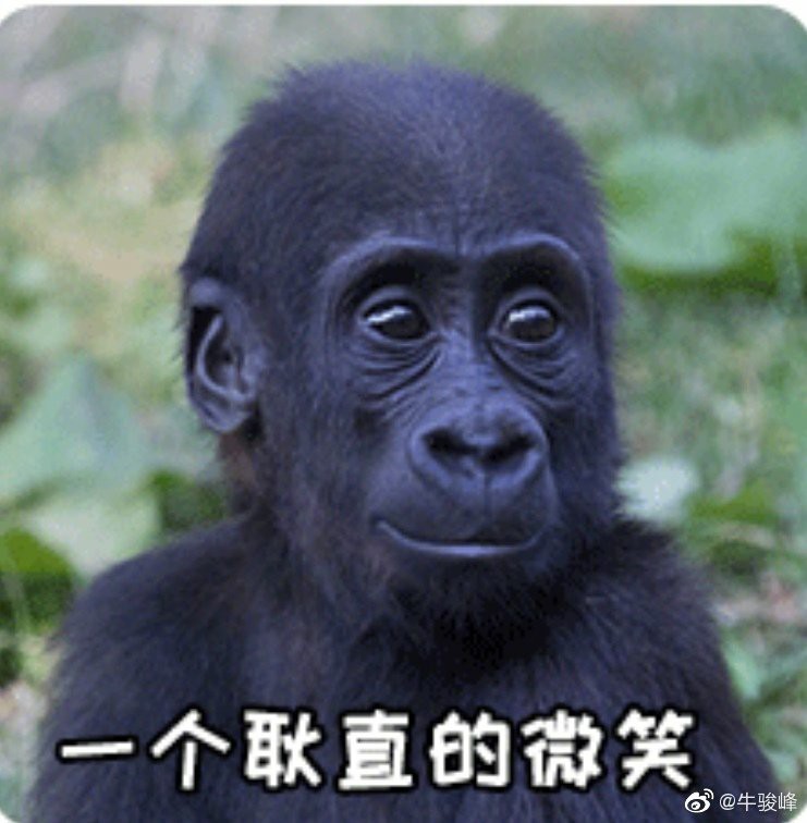 车友必看丨秒变高大上,全车改装分享!